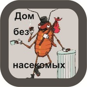 Уничтожение бытовых насекомых