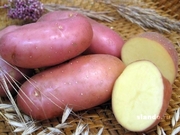 Продам картофель