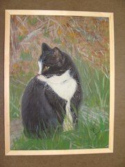 Картина с красивым чёрным котиком